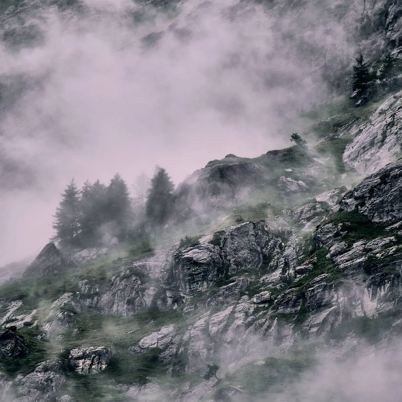 Nebel über Prägraten