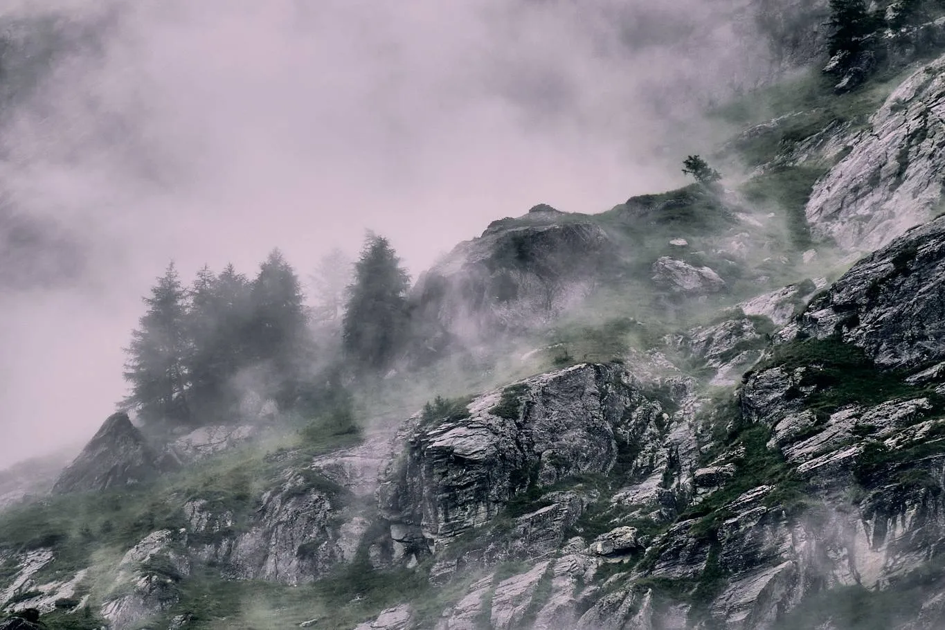 Nebel über Prägraten