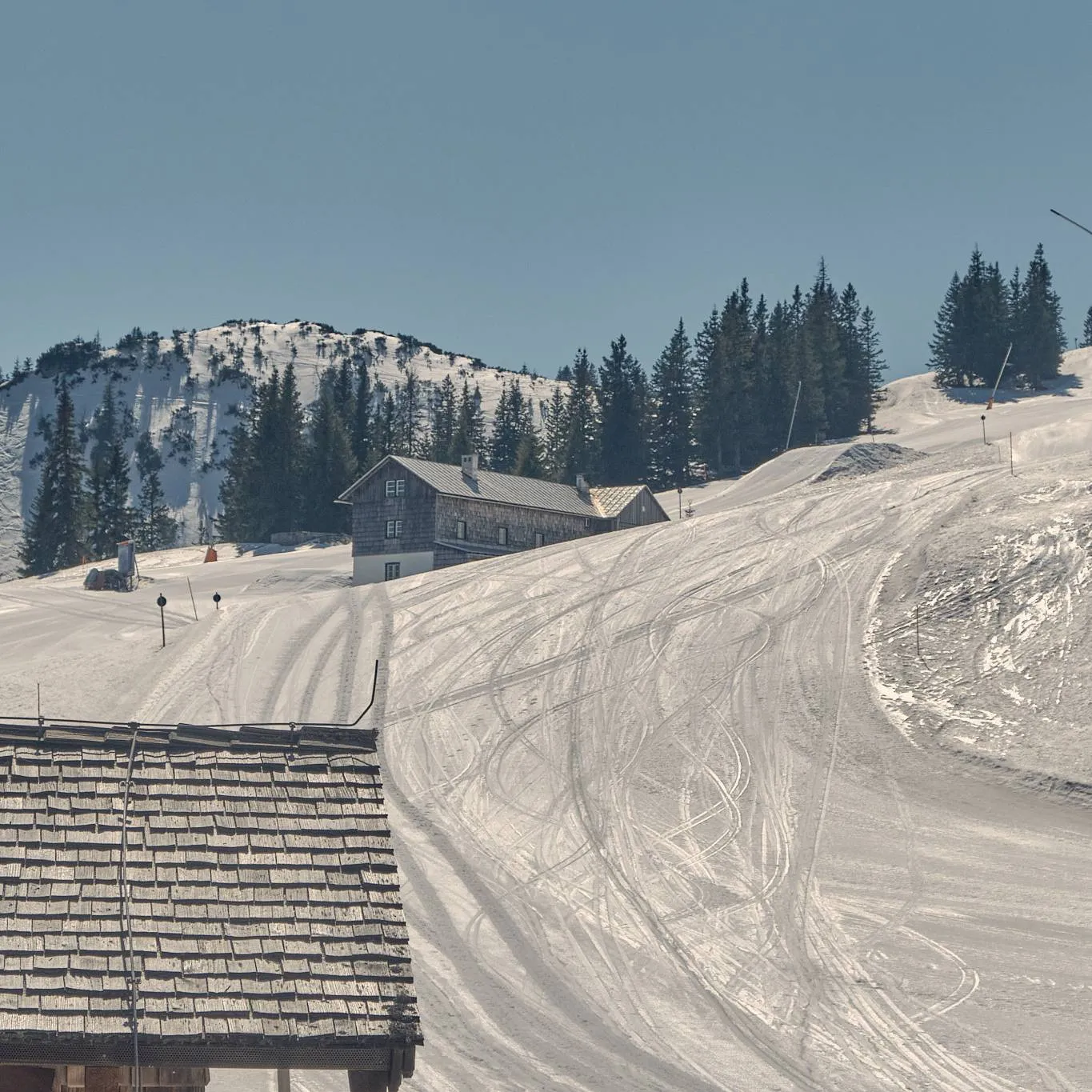 Spitzplaneck