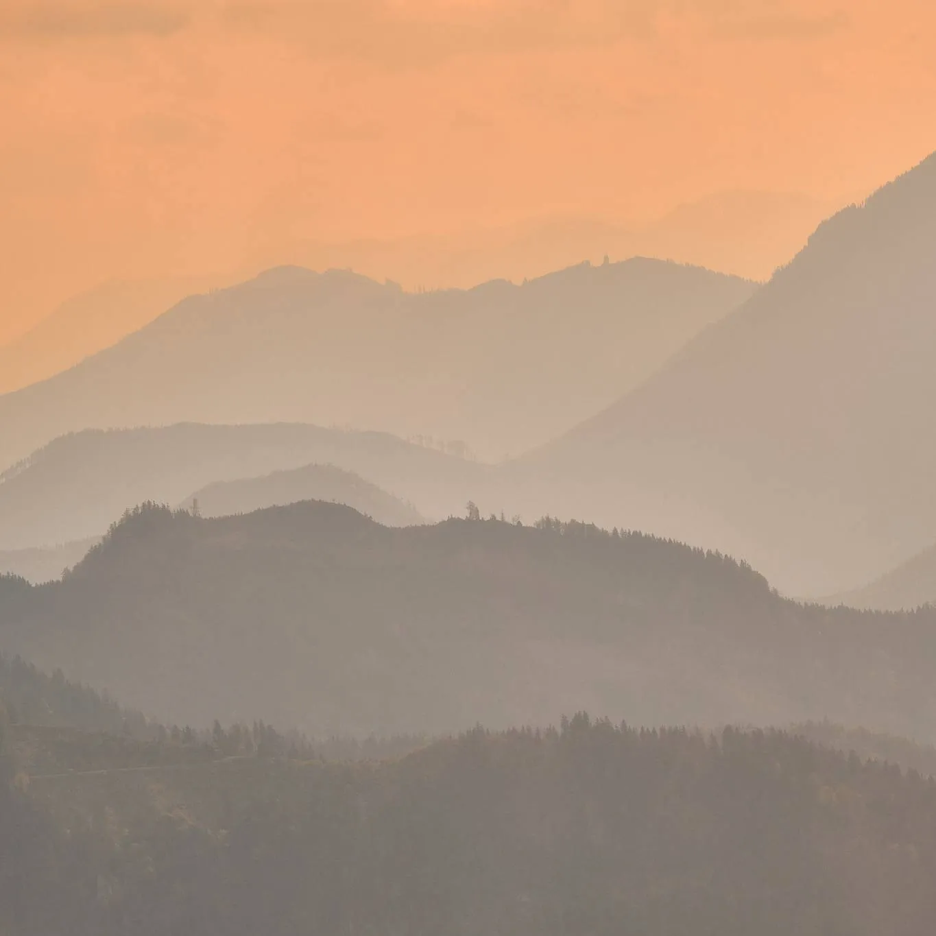 Traumhafte Silhouetten in der Morgensonne