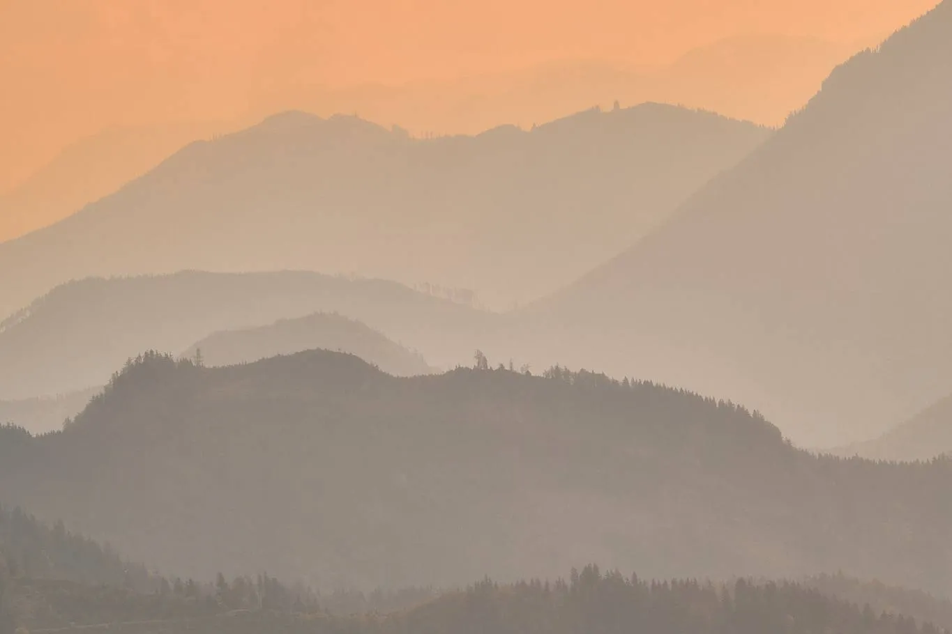 Traumhafte Silhouetten in der Morgensonne