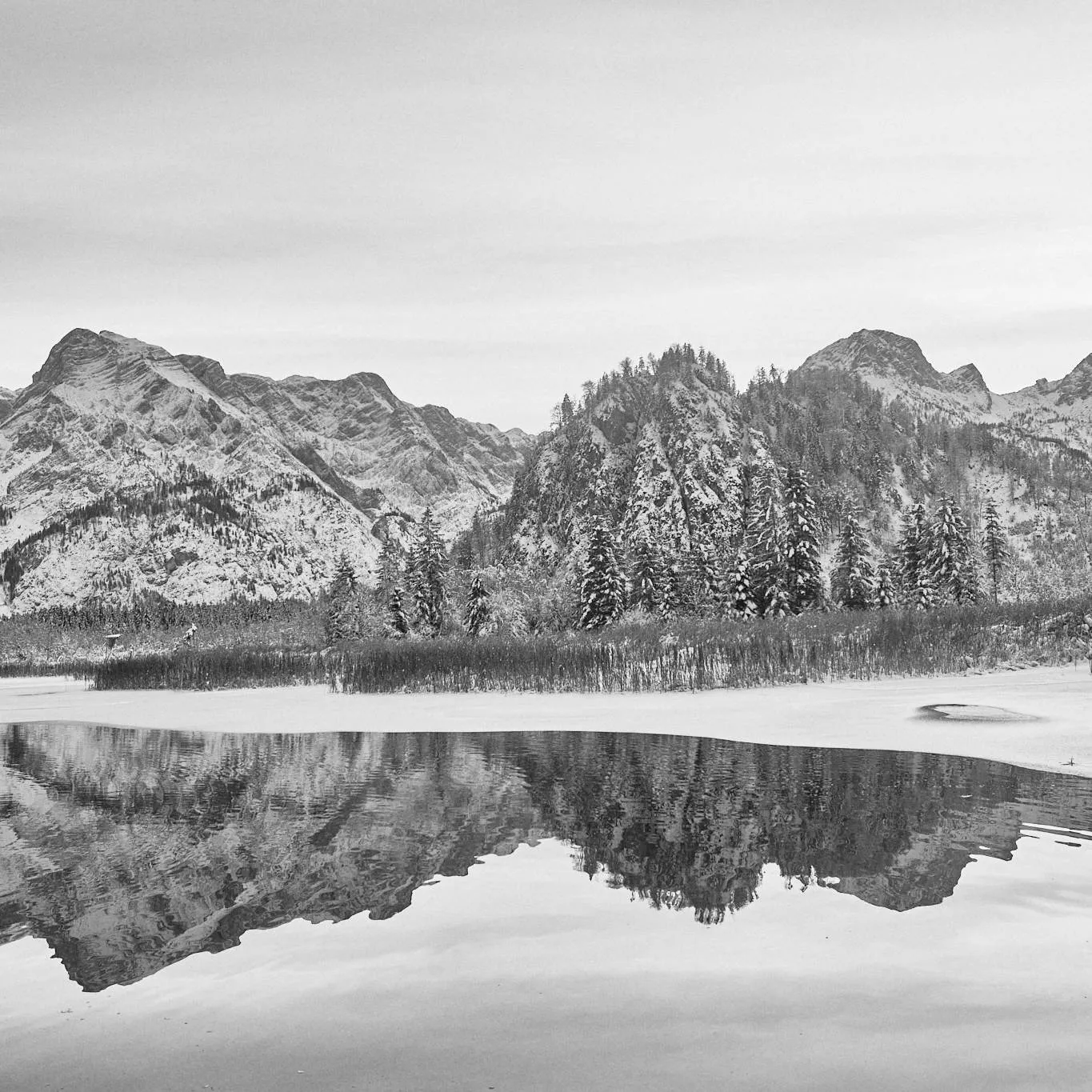 Almsee SchwarzWeiß